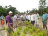 METHOD DEMONSTRATION ON THE USE OF BIO-FERTILIZER IN SALI RICE.